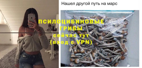 ПСИЛОЦИБИНОВЫЕ ГРИБЫ Армянск