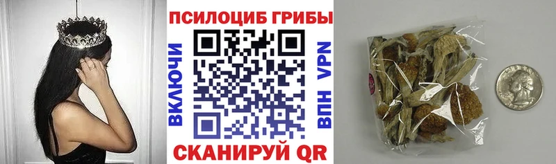 Псилоцибиновые грибы Cubensis где купить Любань
